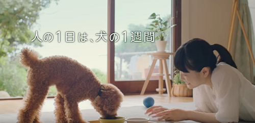 CMLv`摜