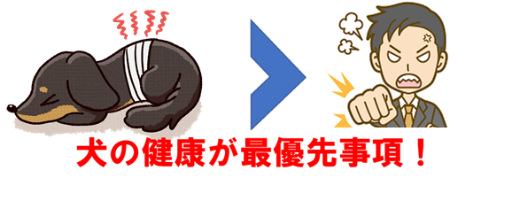 ̌NŗD掖摜