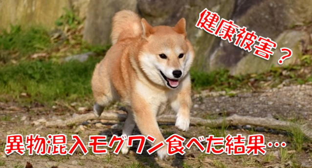 NQ́H摜