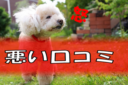 O]摜