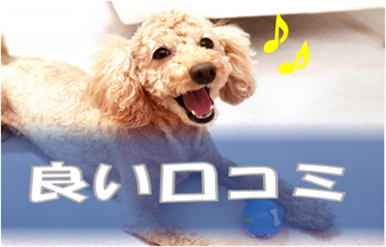 ǂR~摜